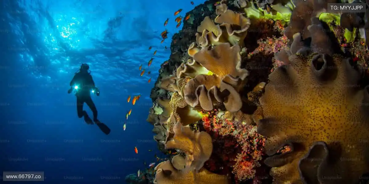 速度与激情,一键开启!🏃